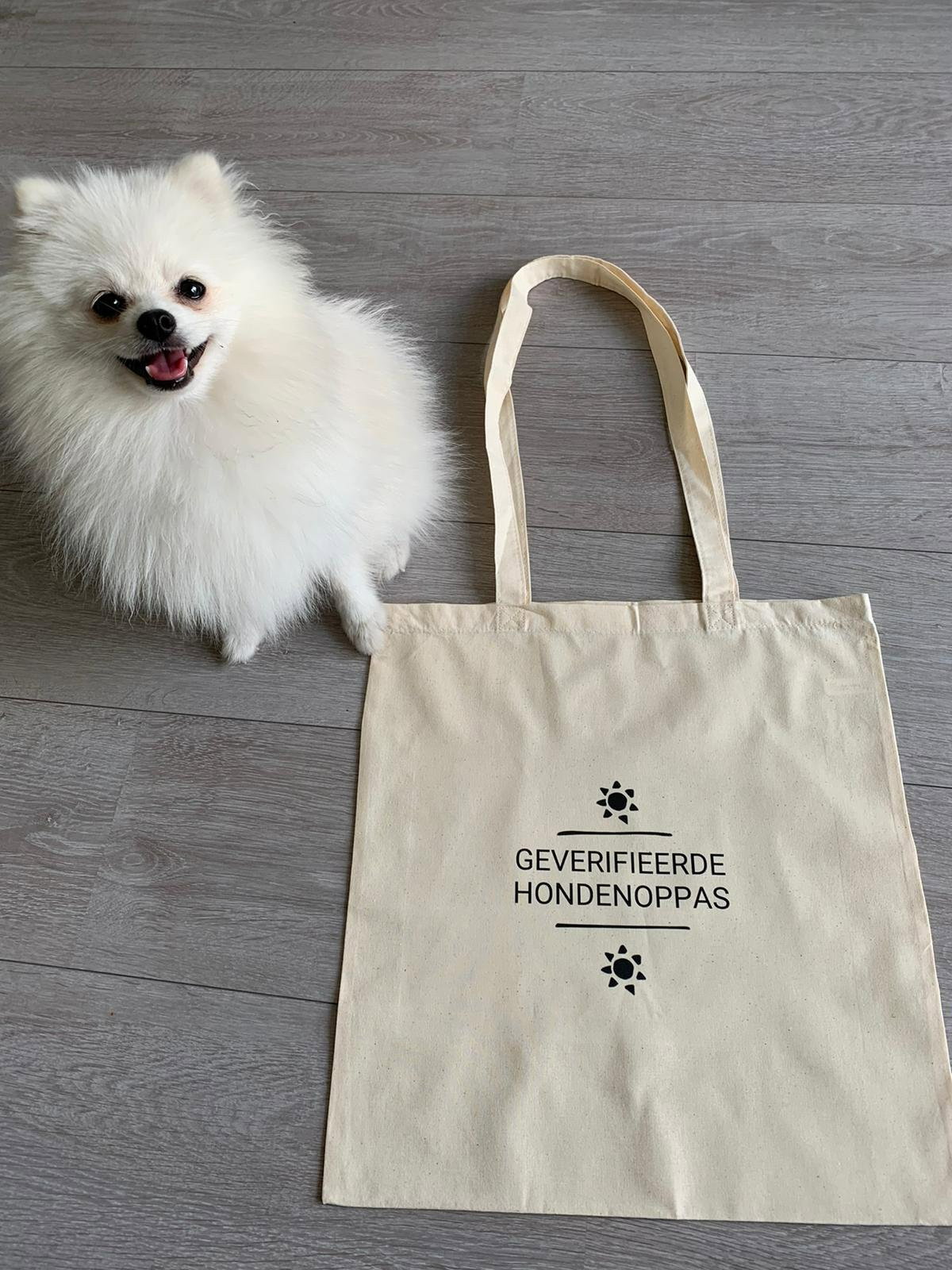 Bomyi, pet sitter in Utrecht, photo 3