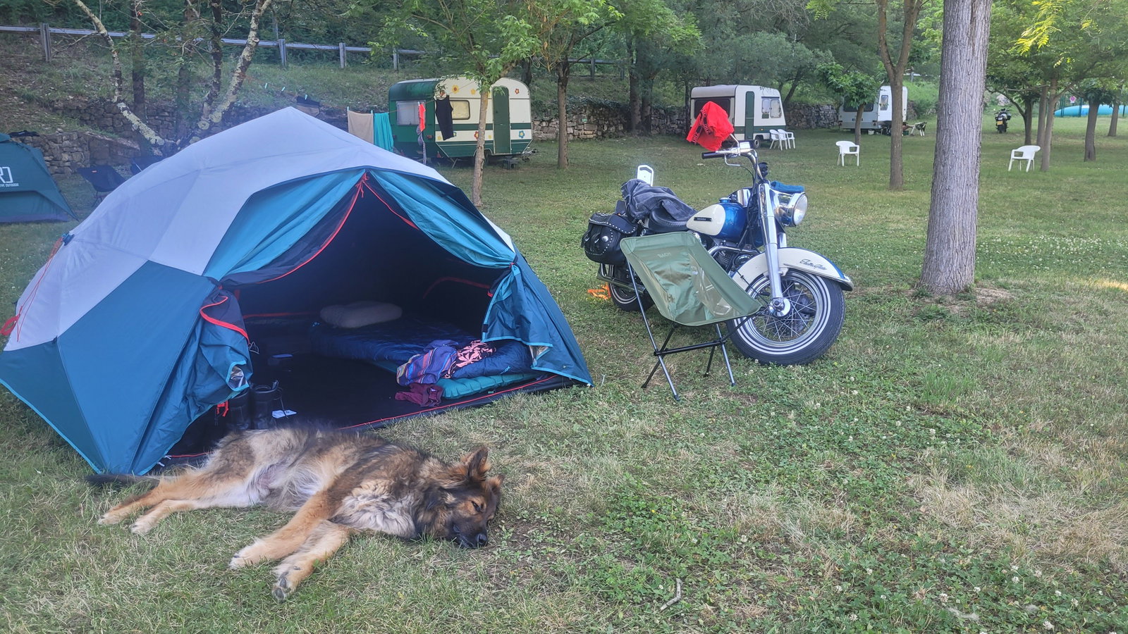 Keanu, pet sitter in Sassenheim, photo 2