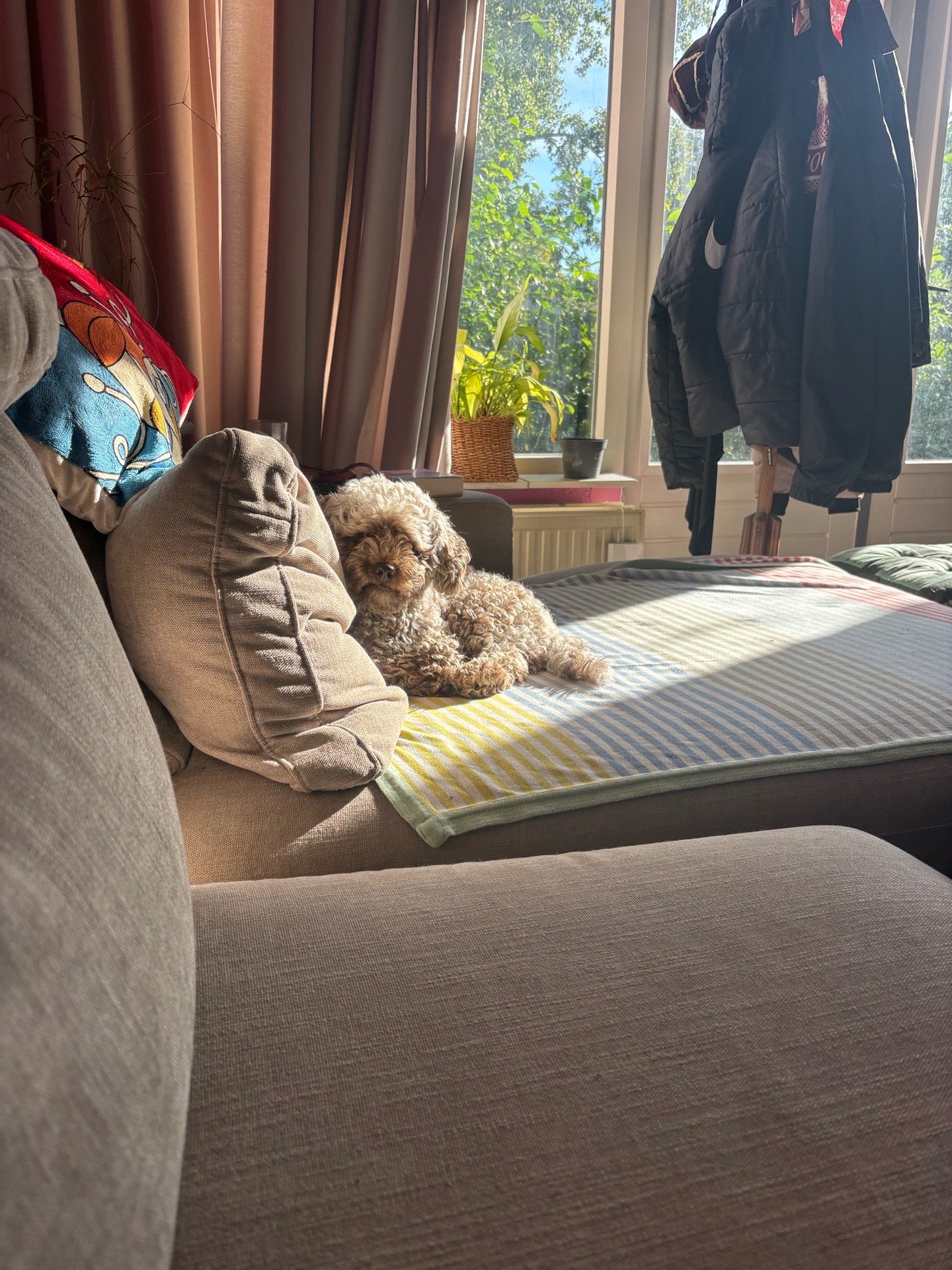 Melina, pet sitter in Wageningen, photo 3
