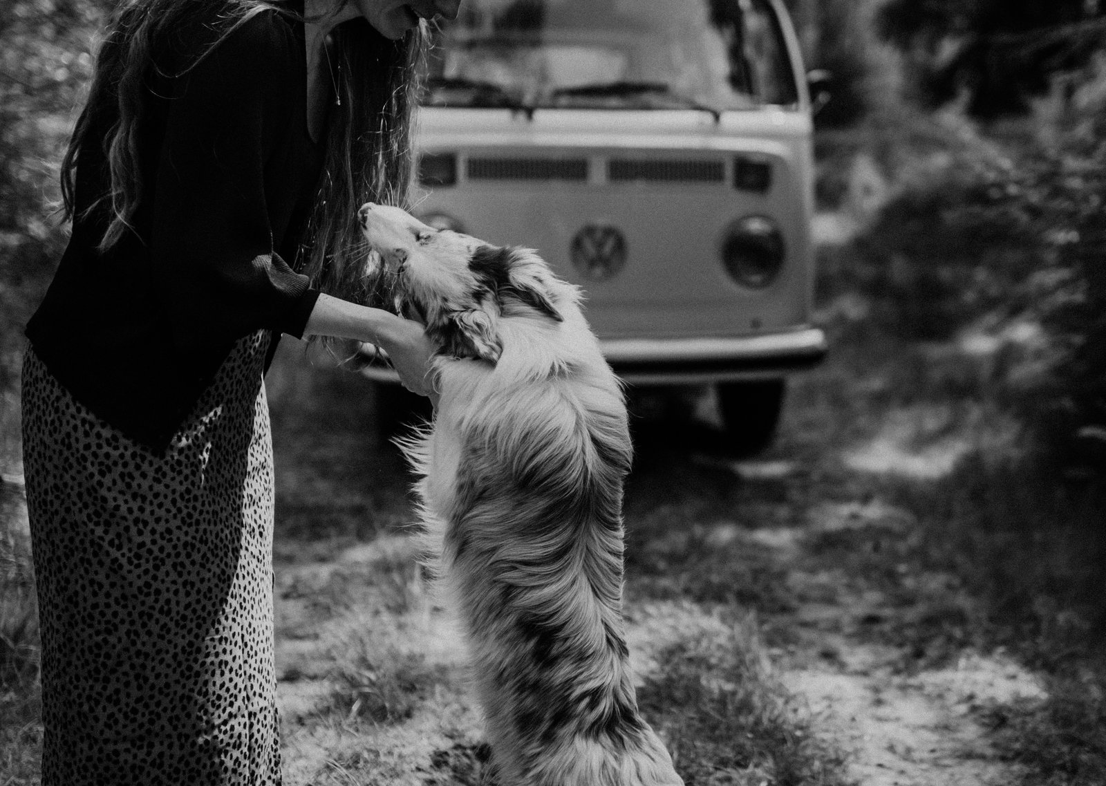 Sharon, pet sitter in Ter Aar, photo 3