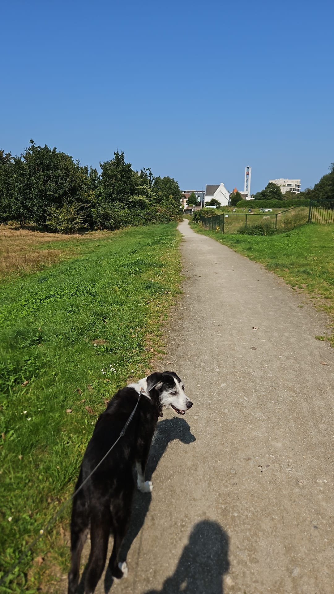 Margriet, pet sitter in Venlo, photo 2