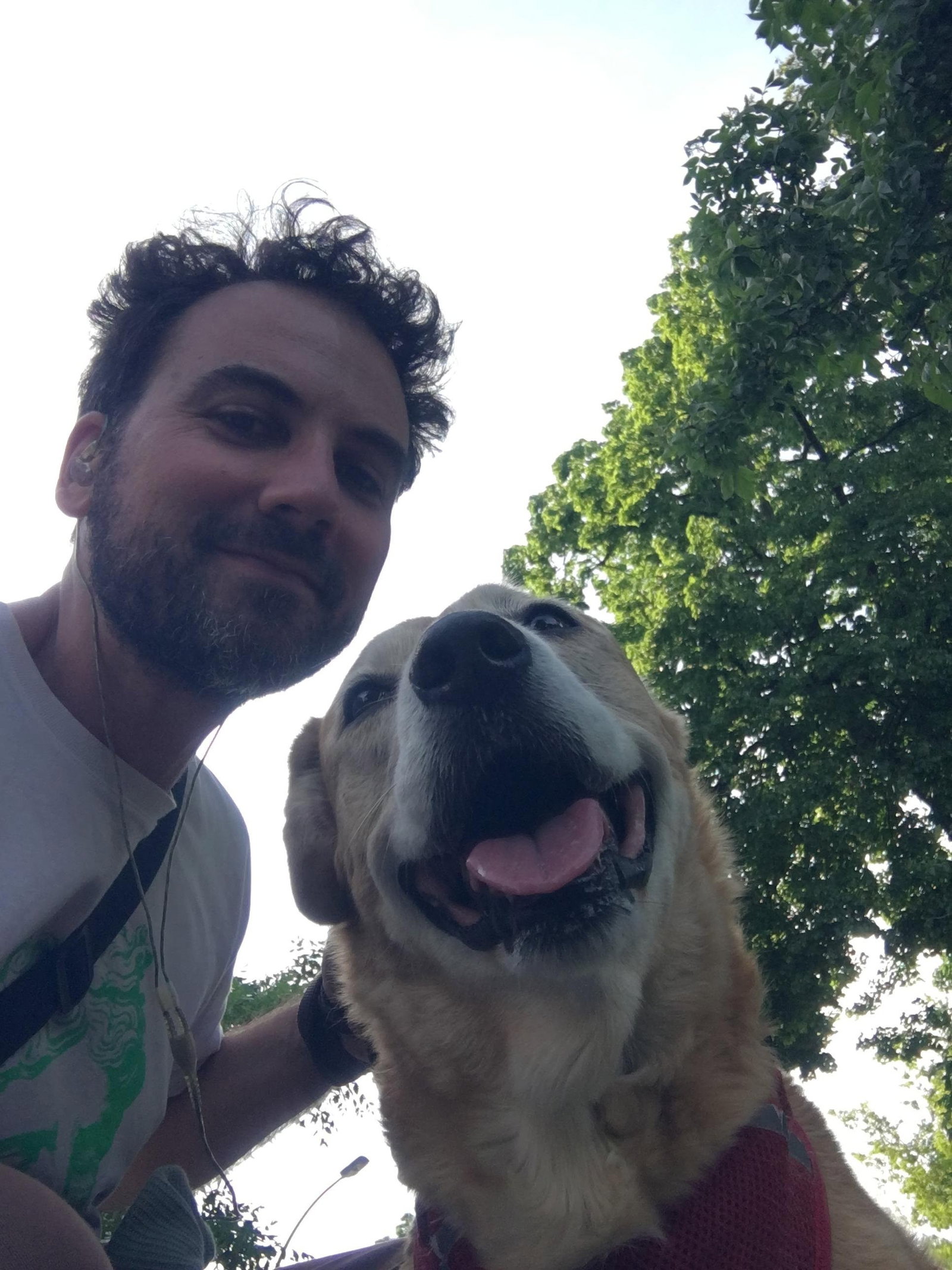 Ignacio, Tiersitter in Berlin, Foto 3