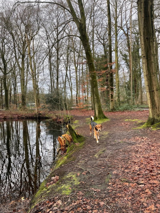 Nicole, pet sitter in Groenekan, photo 2