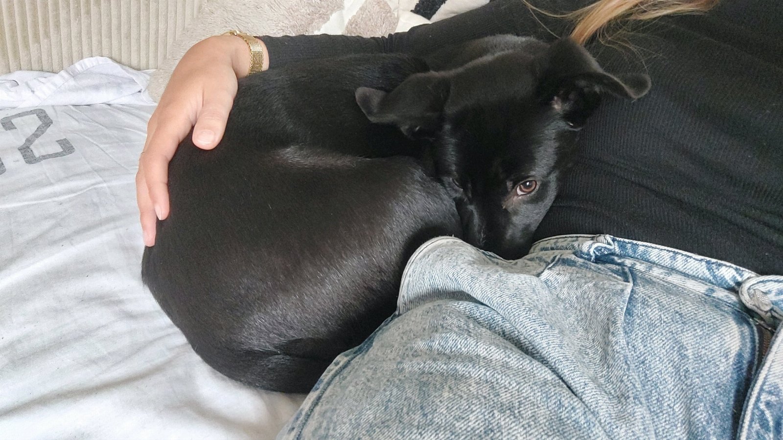 Nadia, pet sitter in Nijmegen, photo 2