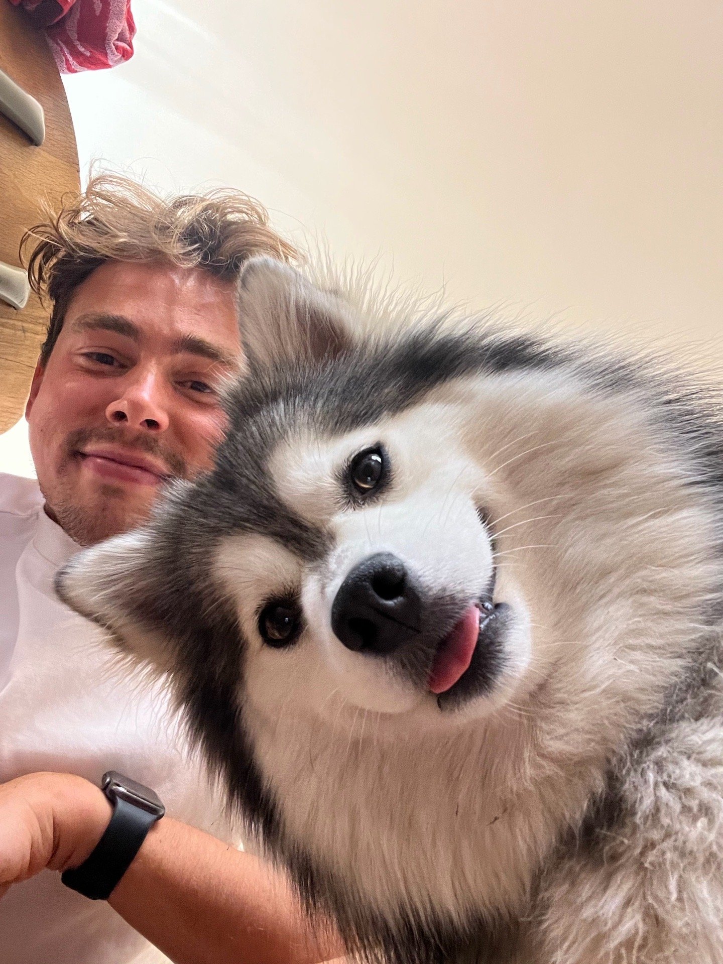 Tobias, pet sitter in Amsterdam, photo 4