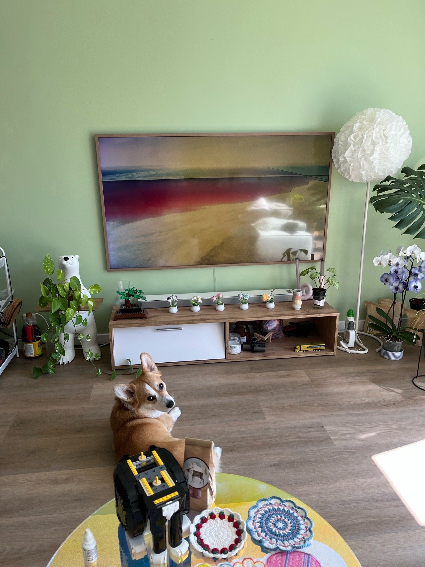 Jingyi (Matilda), pet sitter in Amsterdam, photo 1