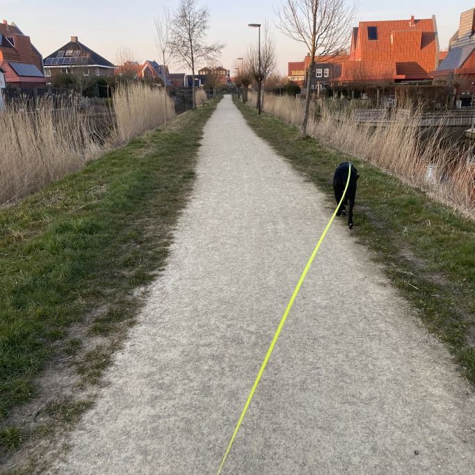 Daphne, pet sitter in Heemskerk, photo 5