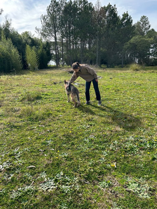 Martina, pet sitter in Nijmegen, photo 4