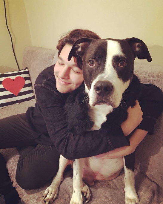 Sercem, pet sitter in Soest, photo 2
