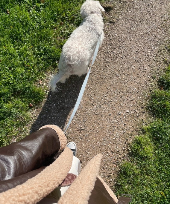 Myrthe, pet sitter in 's-Gravenhage, photo 1