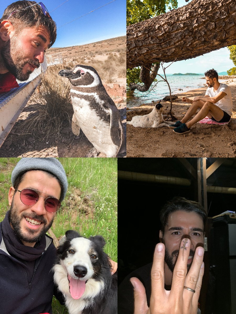 Sercan, pet sitter in Dordrecht, photo 1