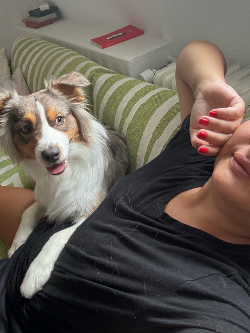 naz, Tiersitter in Nürnberg, Foto 3