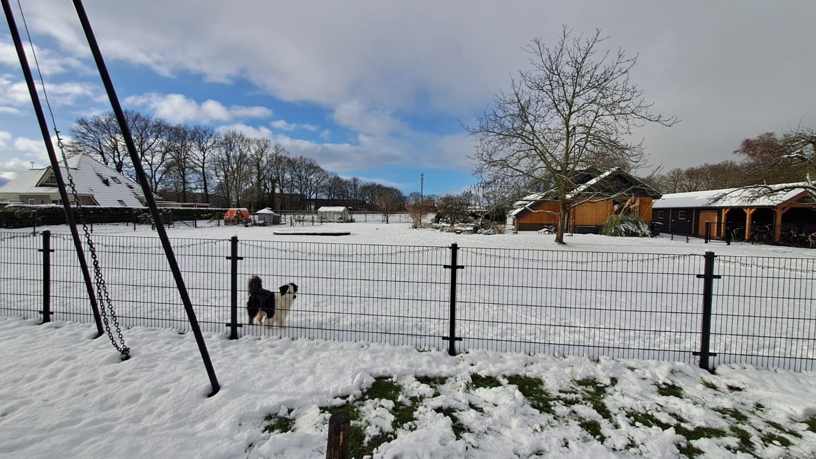 Rowena, pet sitter in Harderwijk, photo 5