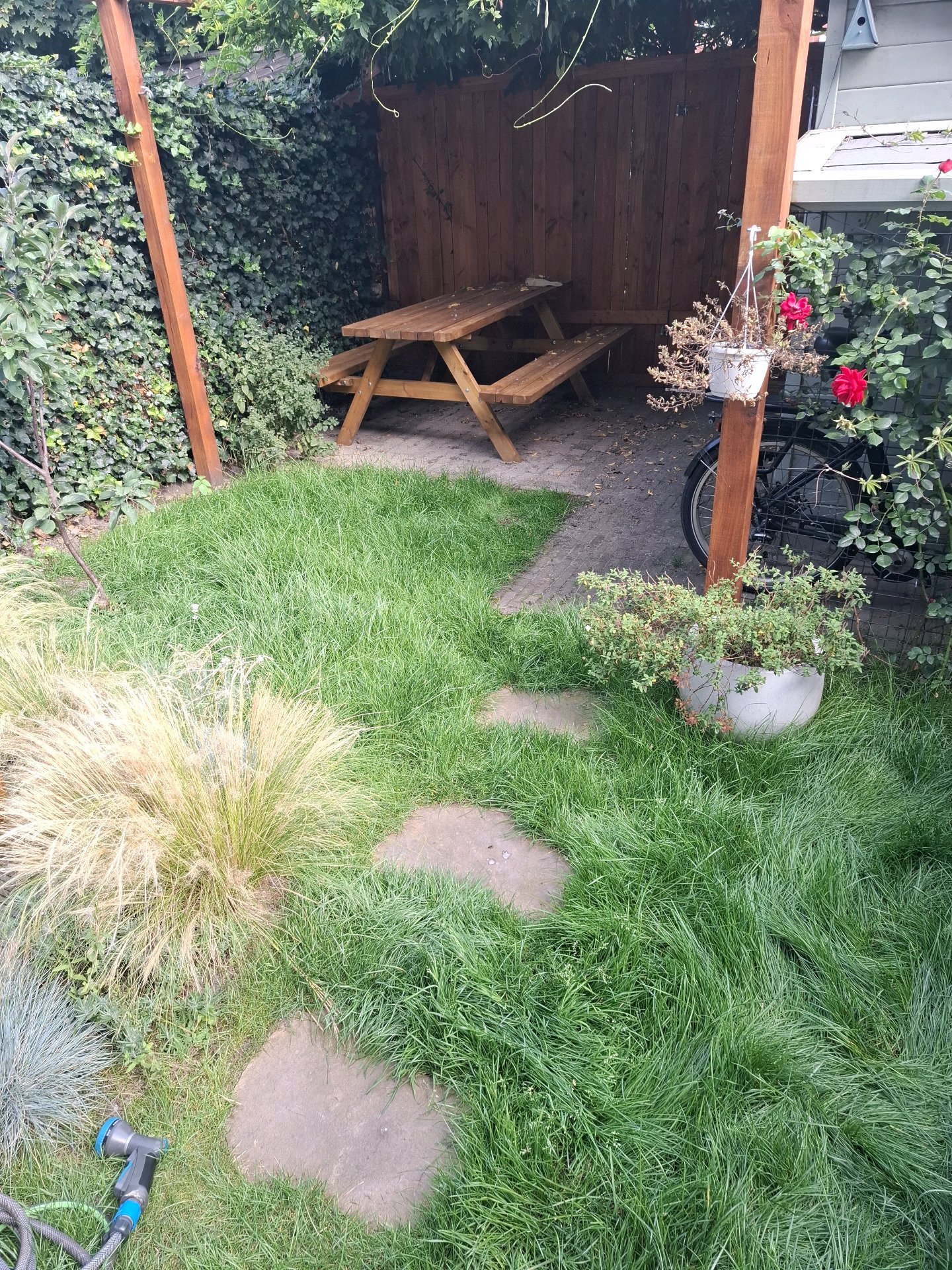 Bart-Jan, pet sitter in Utrecht, photo 2