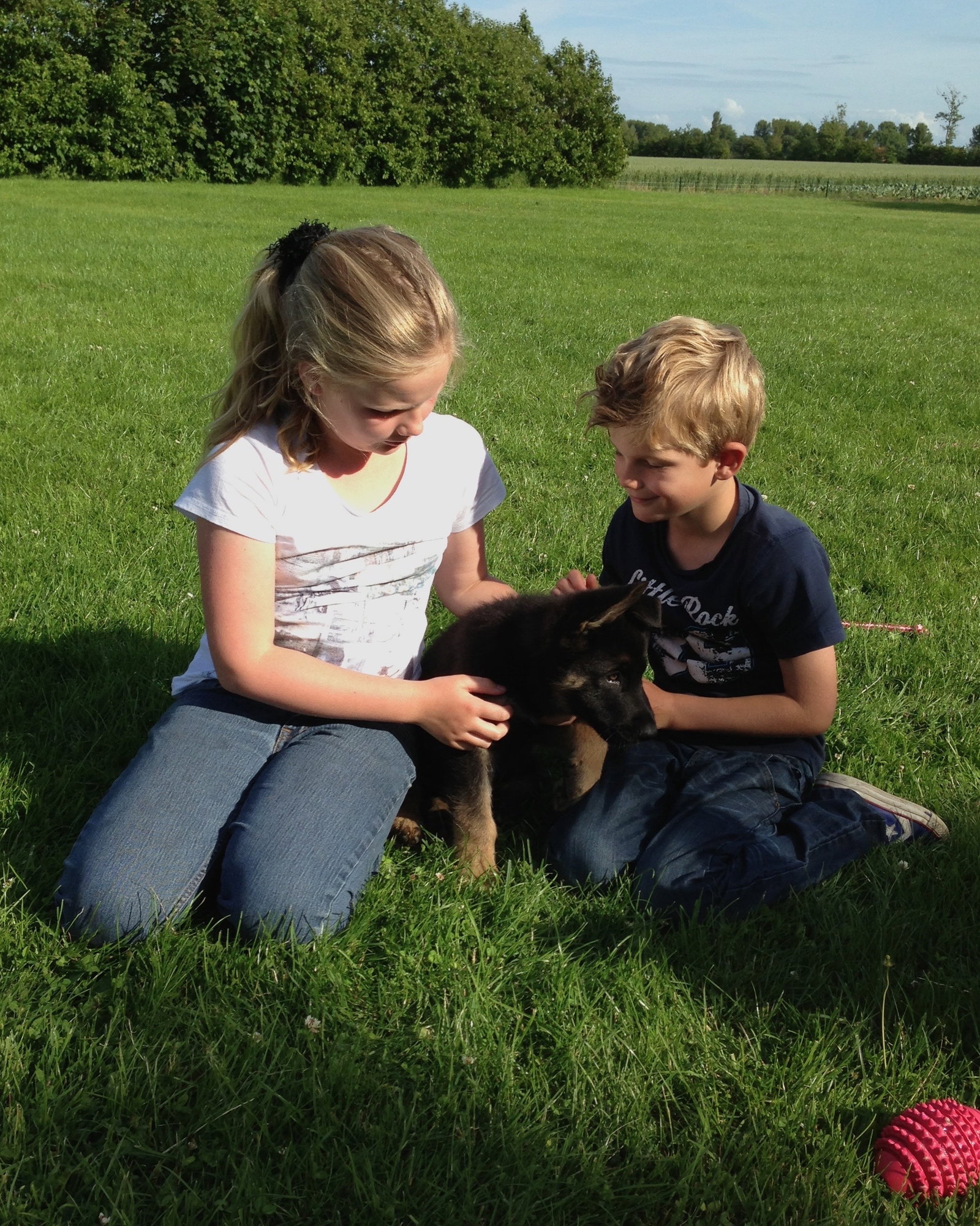 Fleur, pet sitter in Tilburg, photo 4