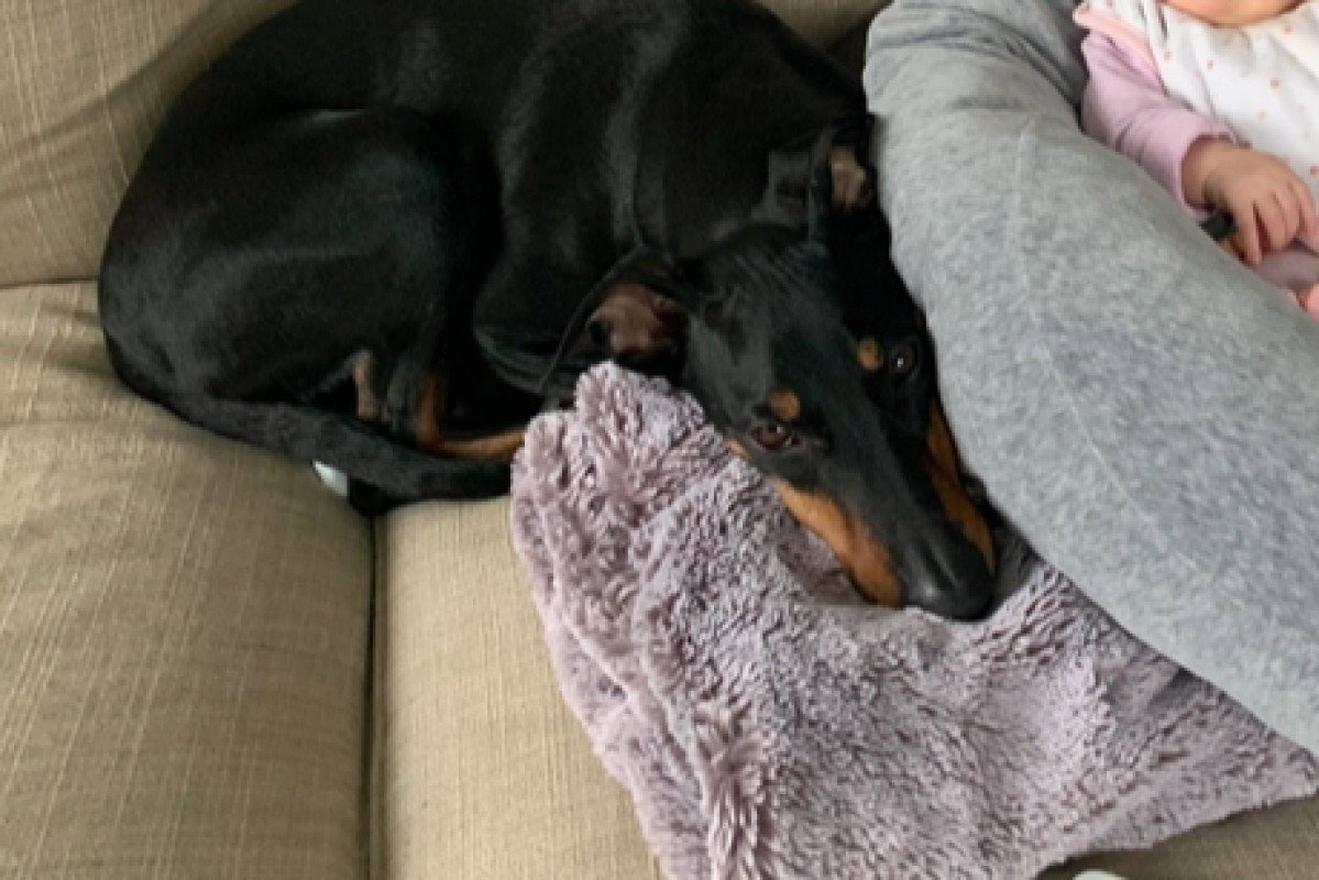 Matthijs, pet sitter in Rotterdam, photo 5