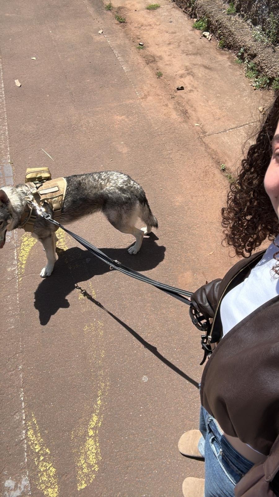 Besay Jesus, pet sitter in Loosdrecht, photo 2