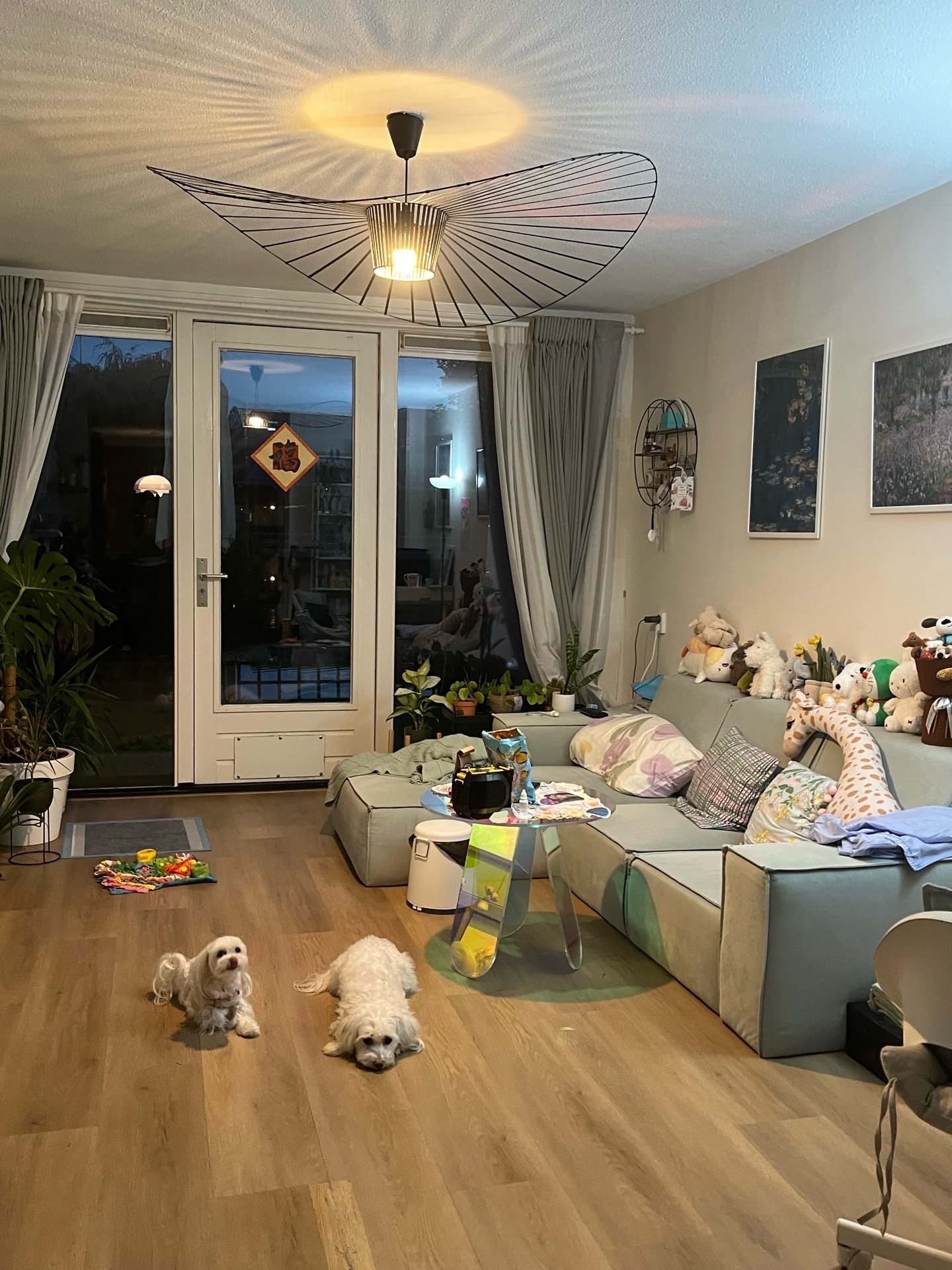 Jingyi (Matilda), pet sitter in Amsterdam, photo 4