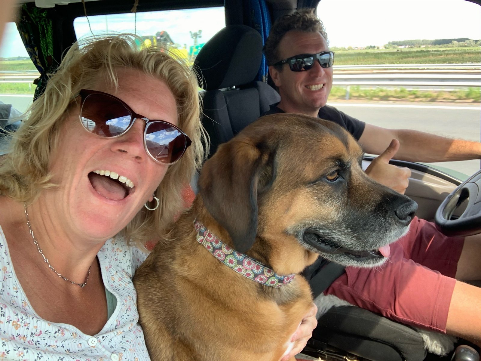 Simone, pet sitter in Bussum, photo 3