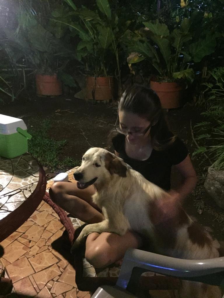 LIZZIE, pet sitter in 's-Gravenzande, photo 1