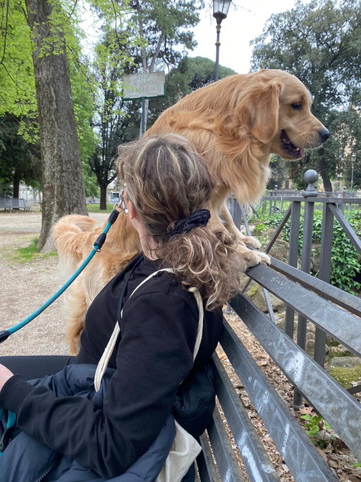 kardelen, pet sitter in Bunnik, photo 3