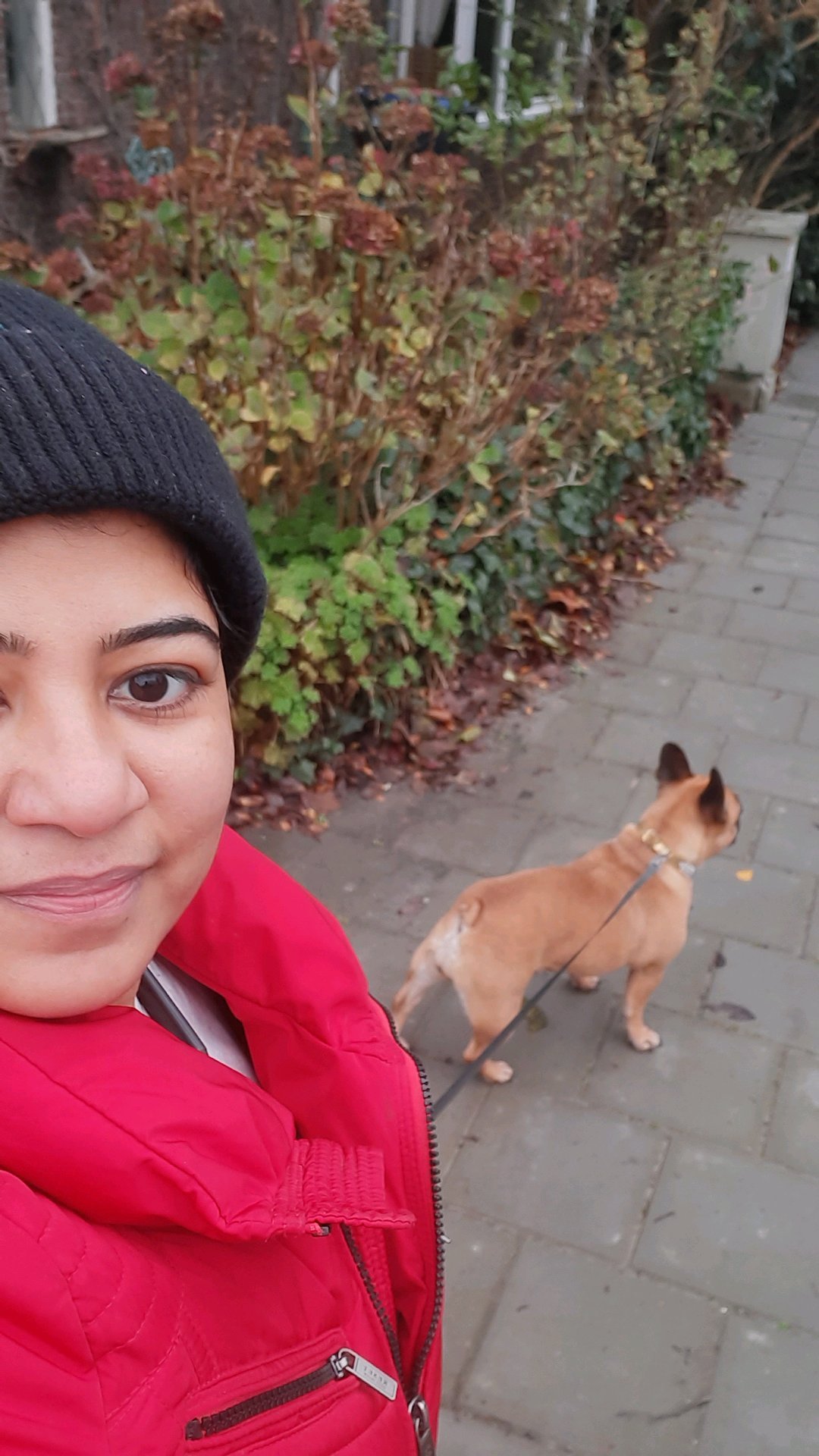 tania, pet sitter in Leeuwarden, photo 5