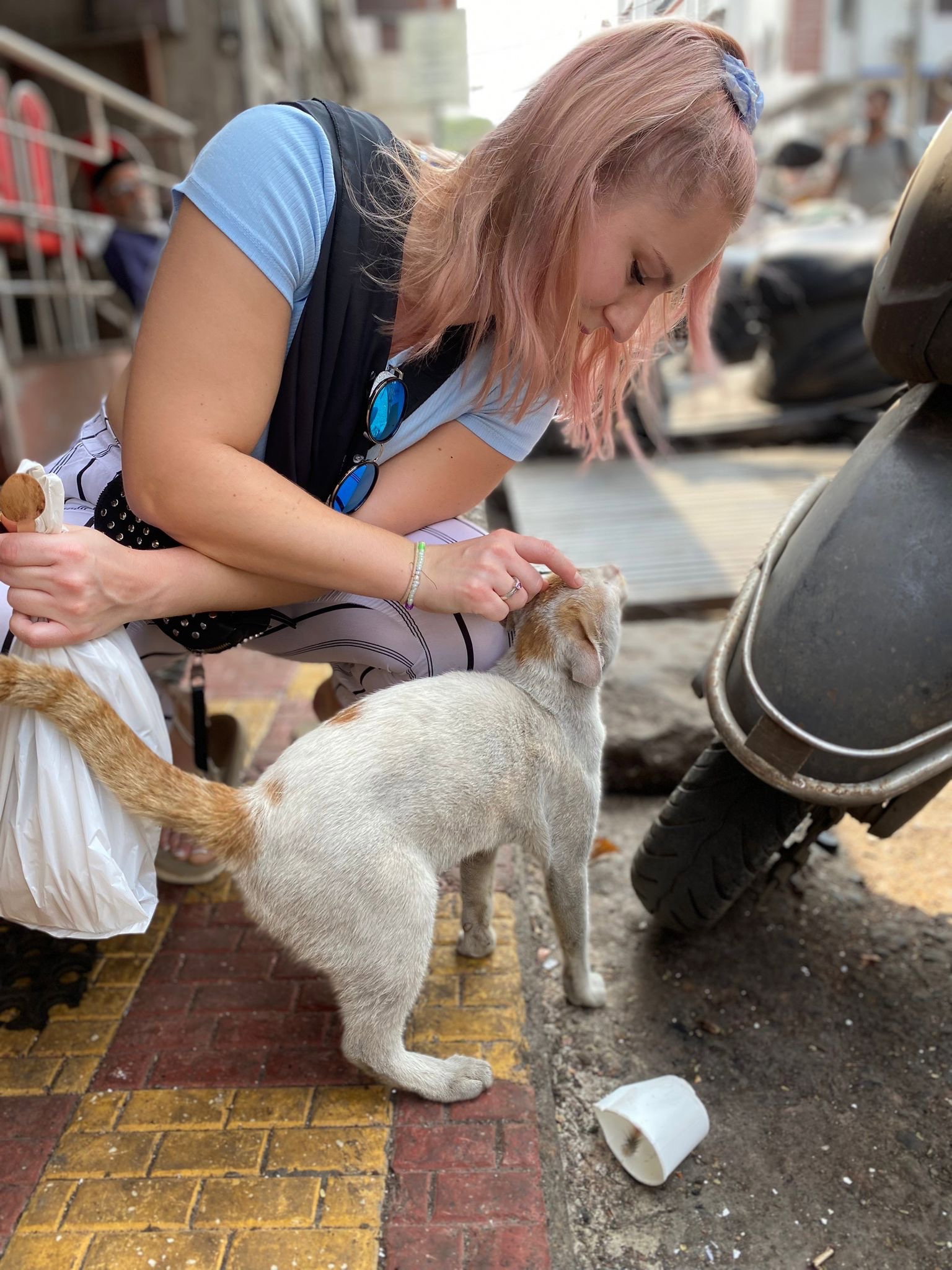 Dajana, pet sitter in Taufkirchen, photo 5