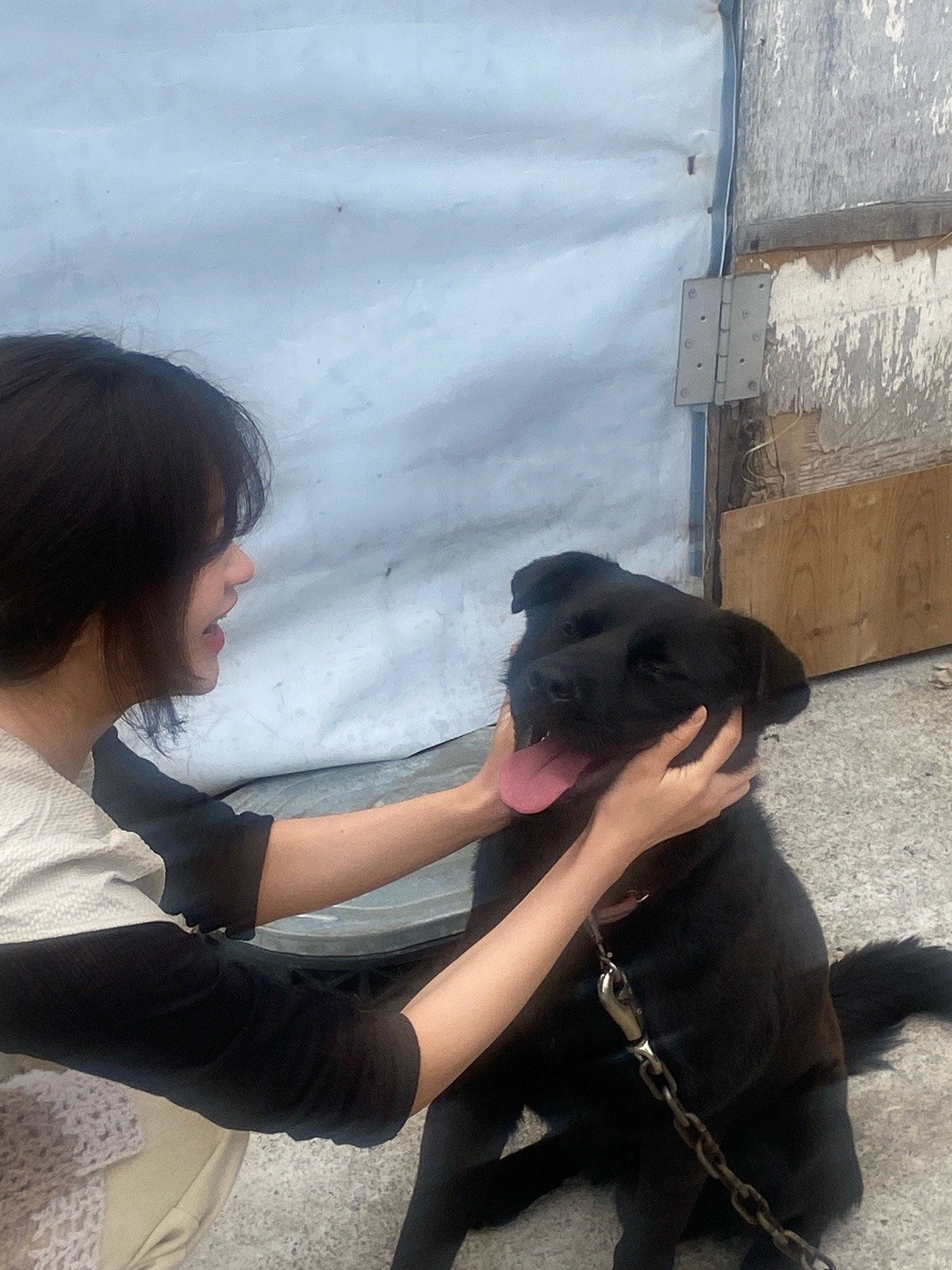 Chaemee, pet sitter in Eindhoven, photo 4