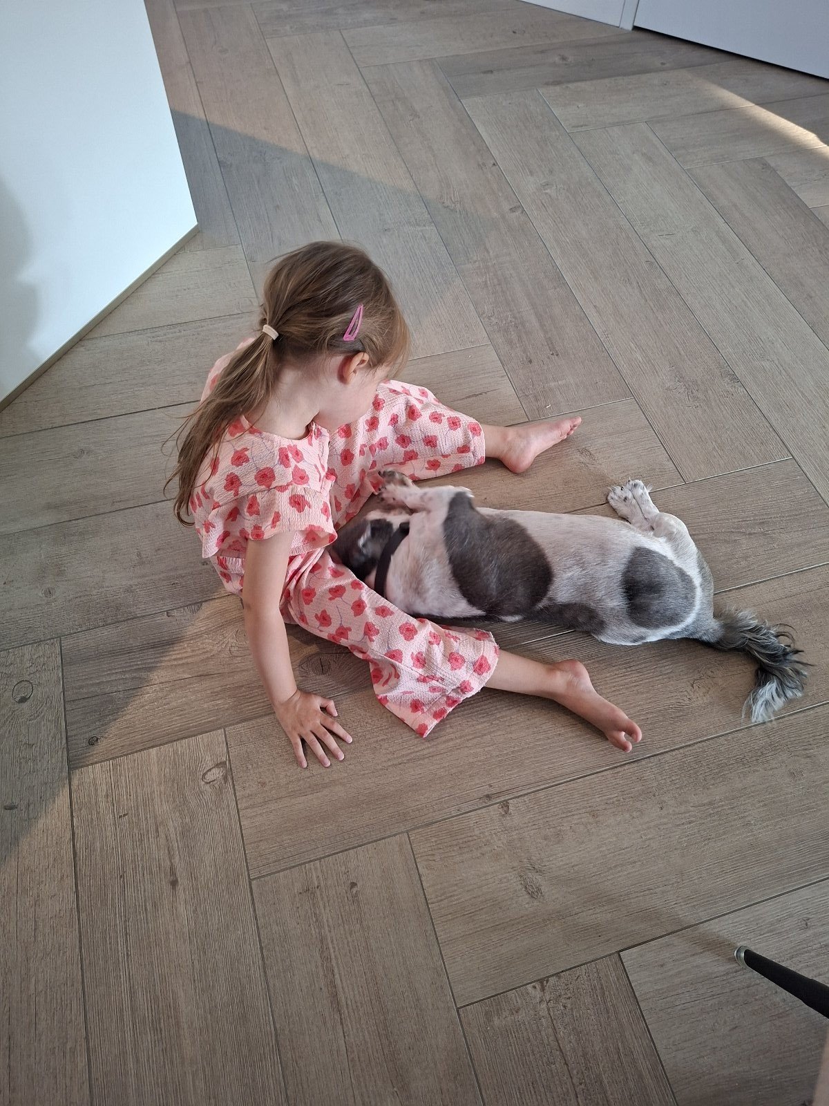 Amber, pet sitter in Geldrop, photo 5