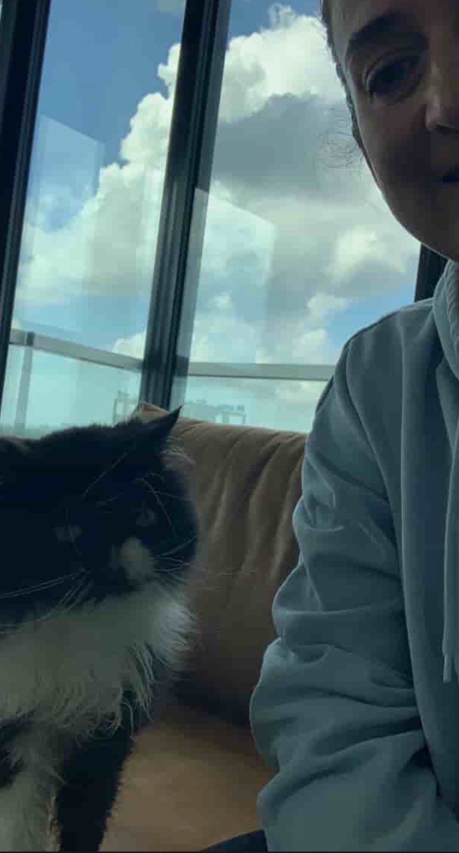 Catarina, pet sitter in Amstelveen, photo 5