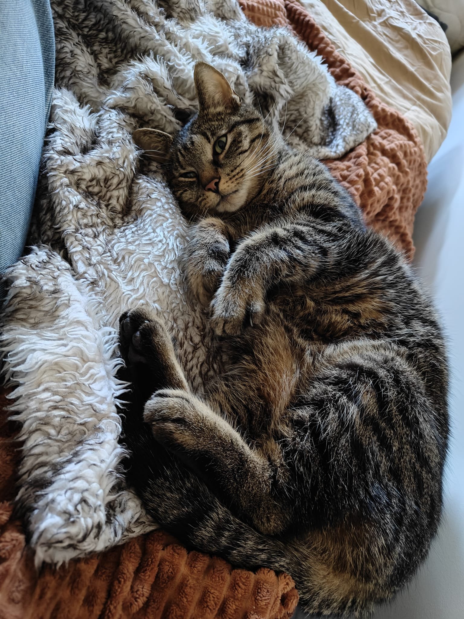 Geritia, pet sitter in Amsterdam, photo 3
