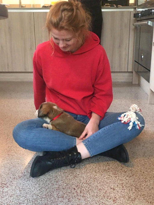 Regina & Luuk, pet sitter in Amsterdam, photo 1