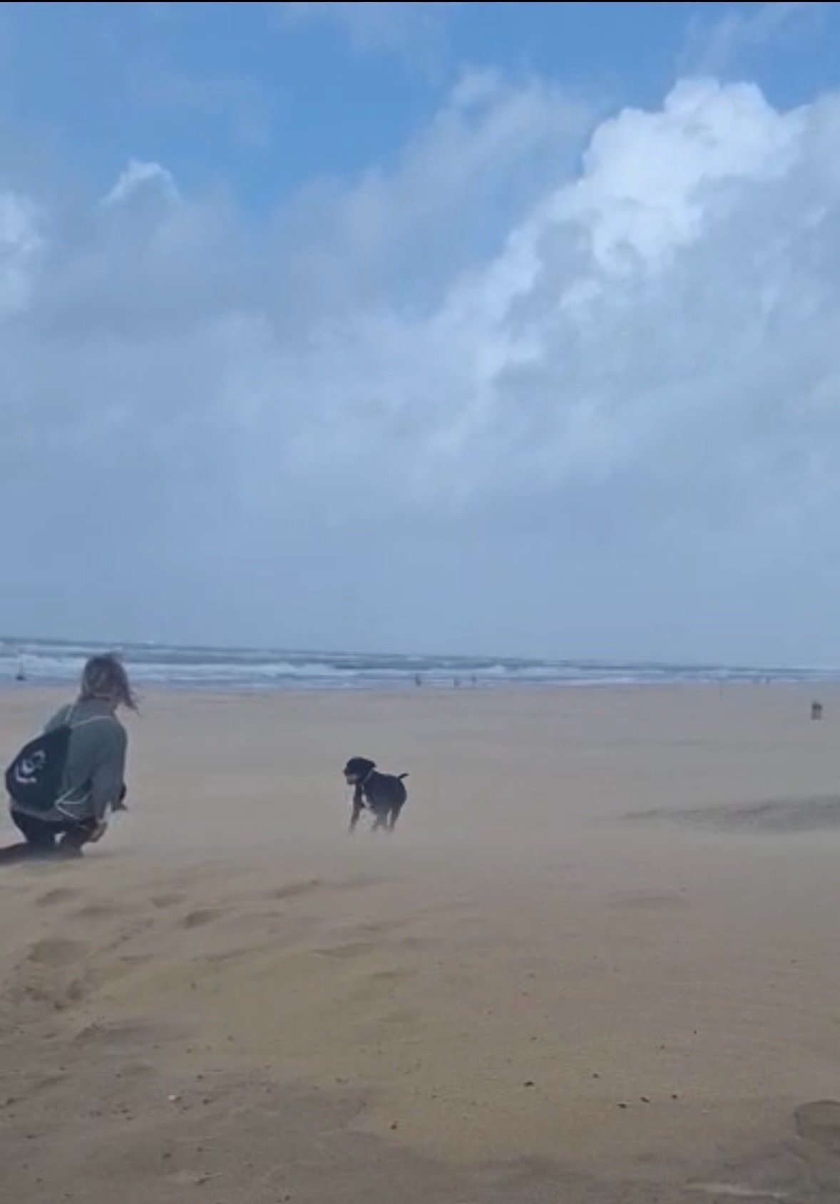 Saar, pet sitter in Den Haag, photo 3