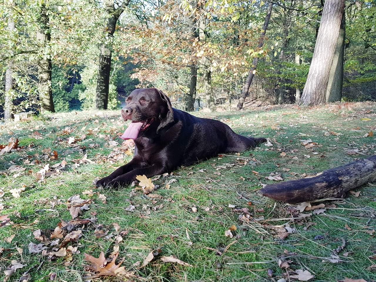 Michael en Angelique, pet sitter in Zoetermeer, photo 1