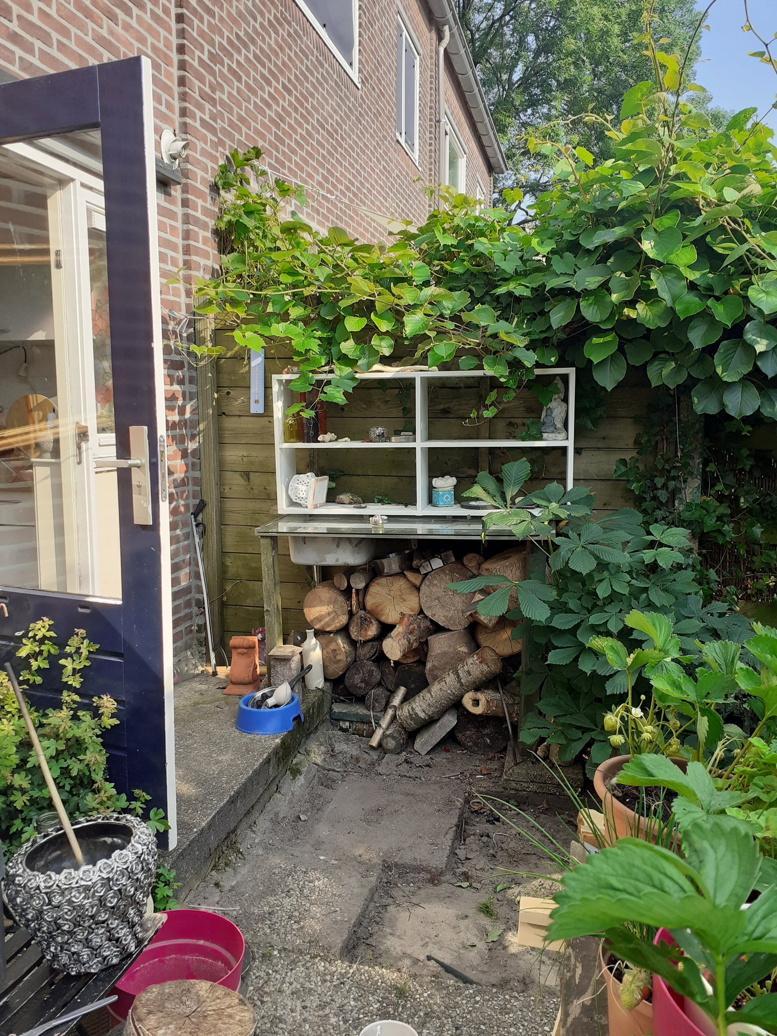 rianne, dierenoppas in Utrecht, foto 2