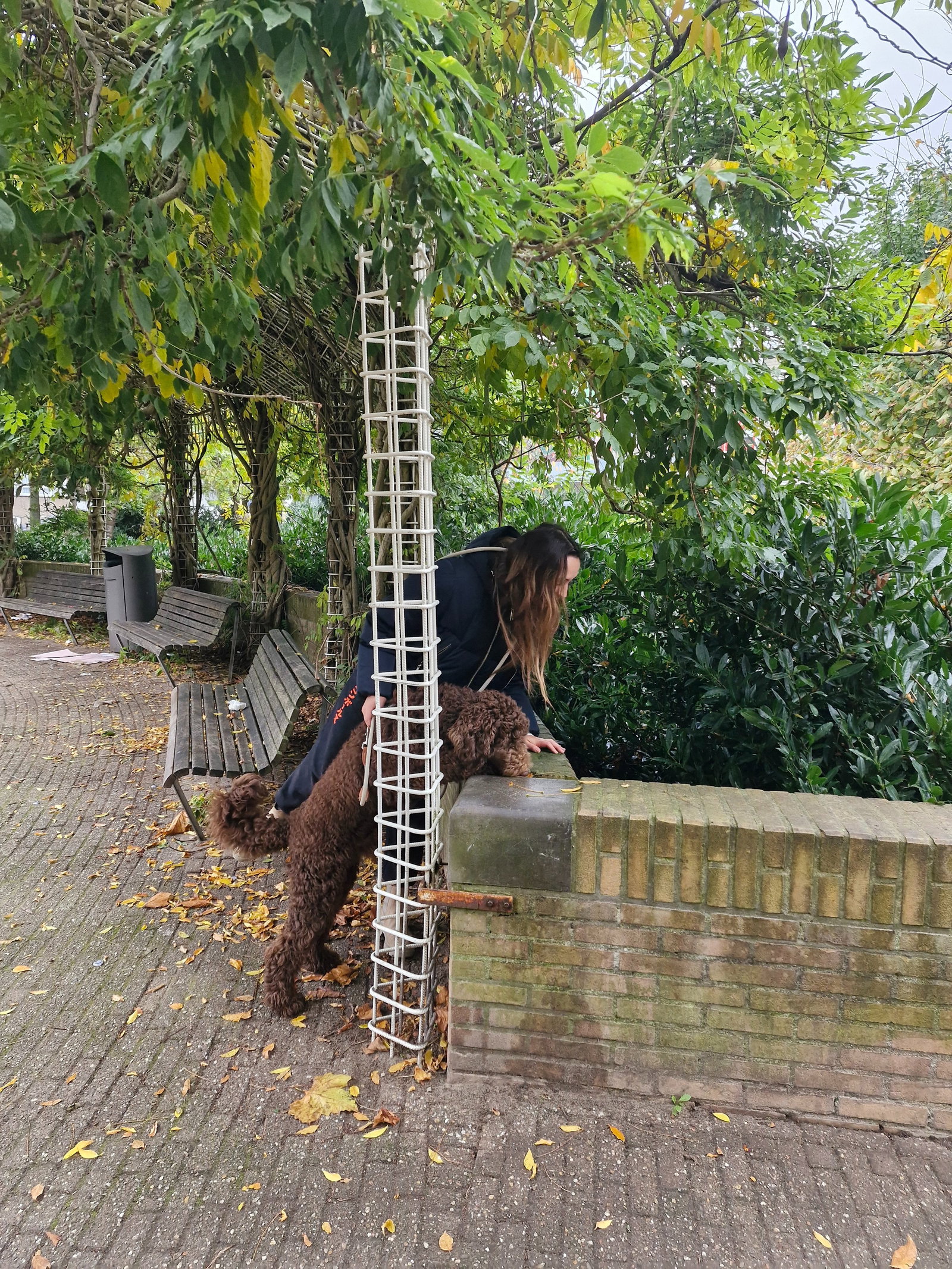 Chazel, dierenoppas in Amsterdam, foto 2
