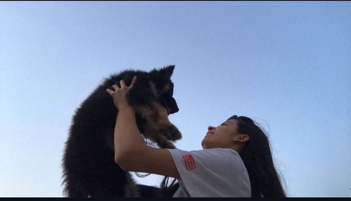 Ananyaa, pet sitter in Freiburg im Breisgau, photo 1