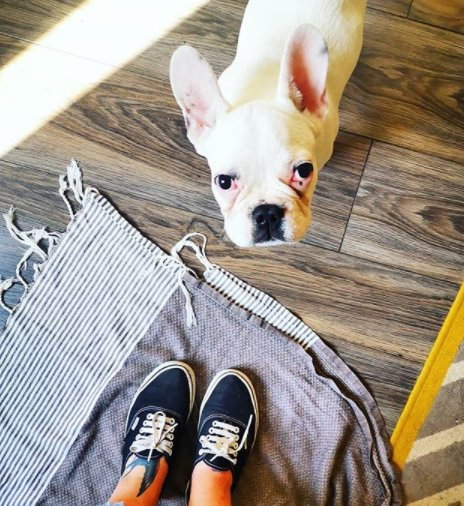 Marion, pet sitter in Amsterdam, photo 1