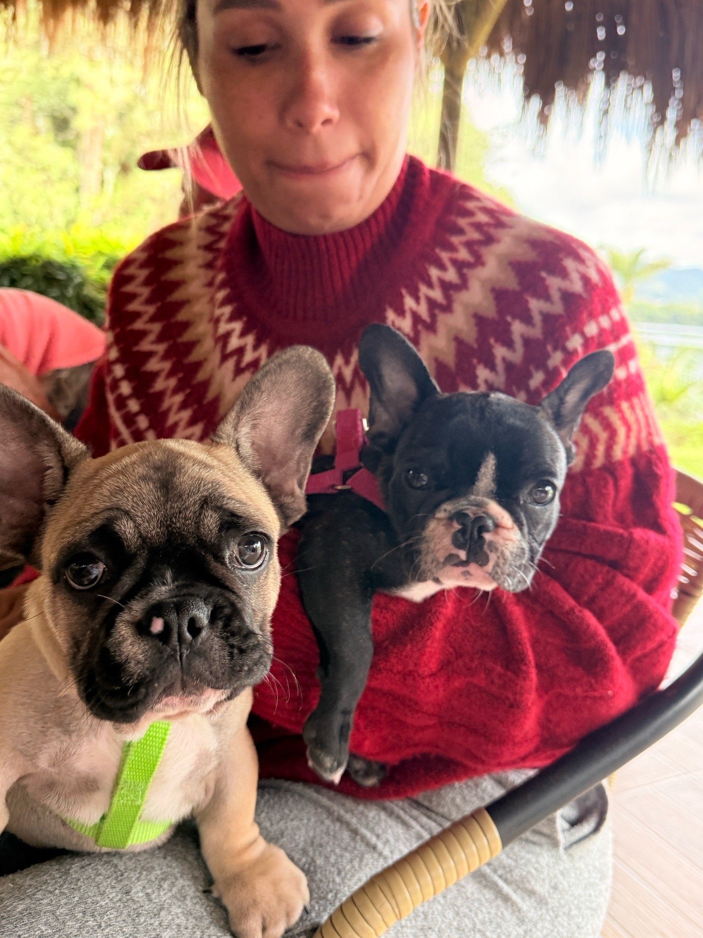 Natasha, pet sitter in Delft, photo 3