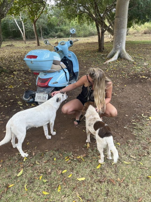 babet, pet sitter in Lemelerveld, photo 4