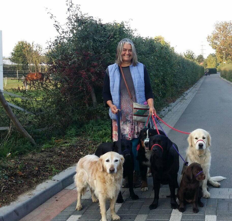 Jolanda, pet sitter in Landgraaf, photo 4