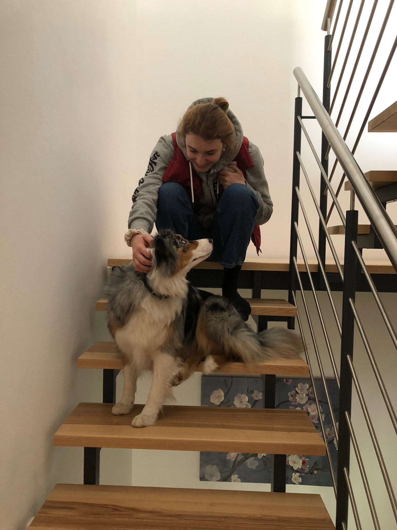 Hannah, Tiersitter in Darmstadt, Foto 3