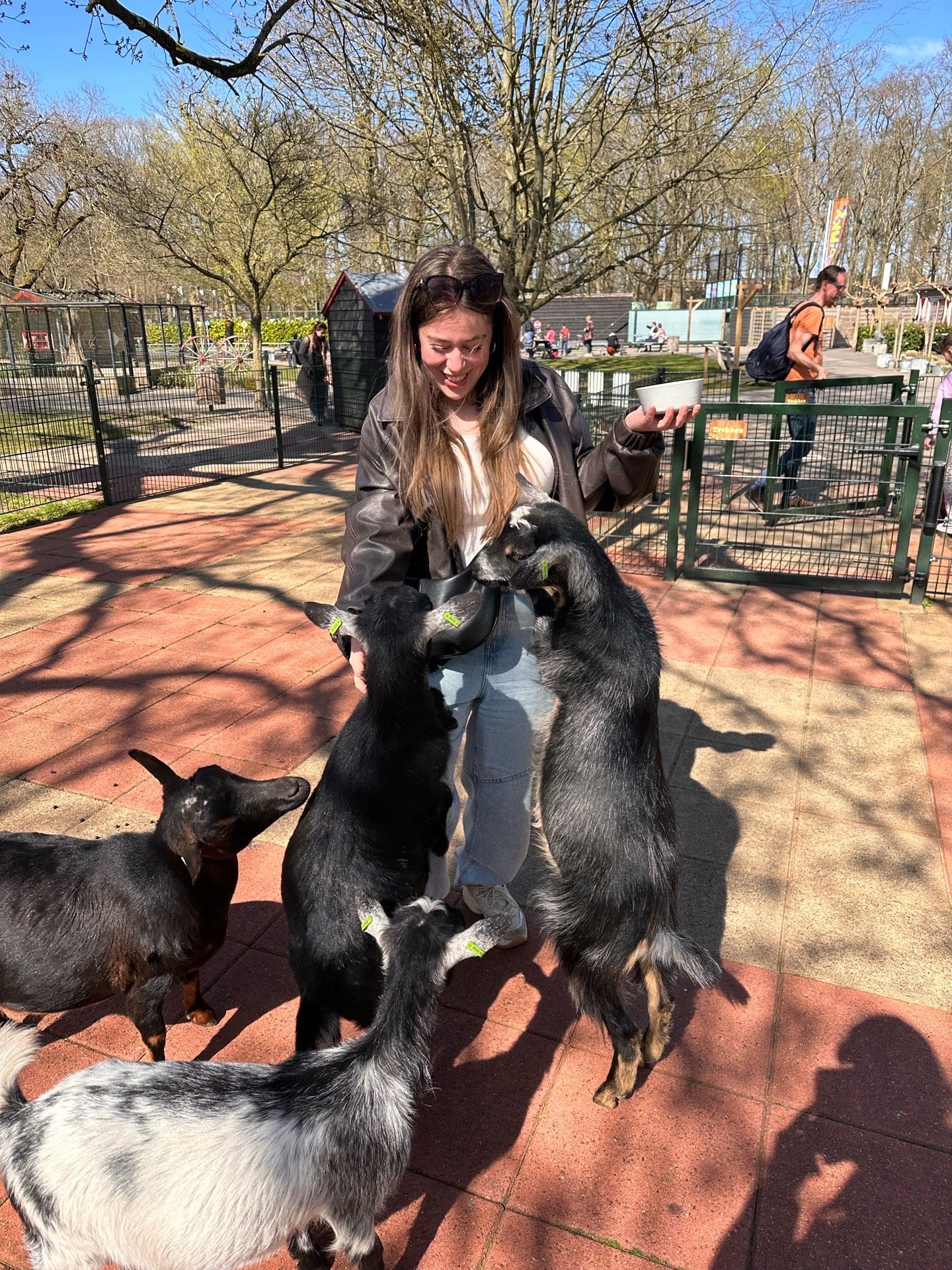 Imani, pet sitter in Hoenderloo, photo 2