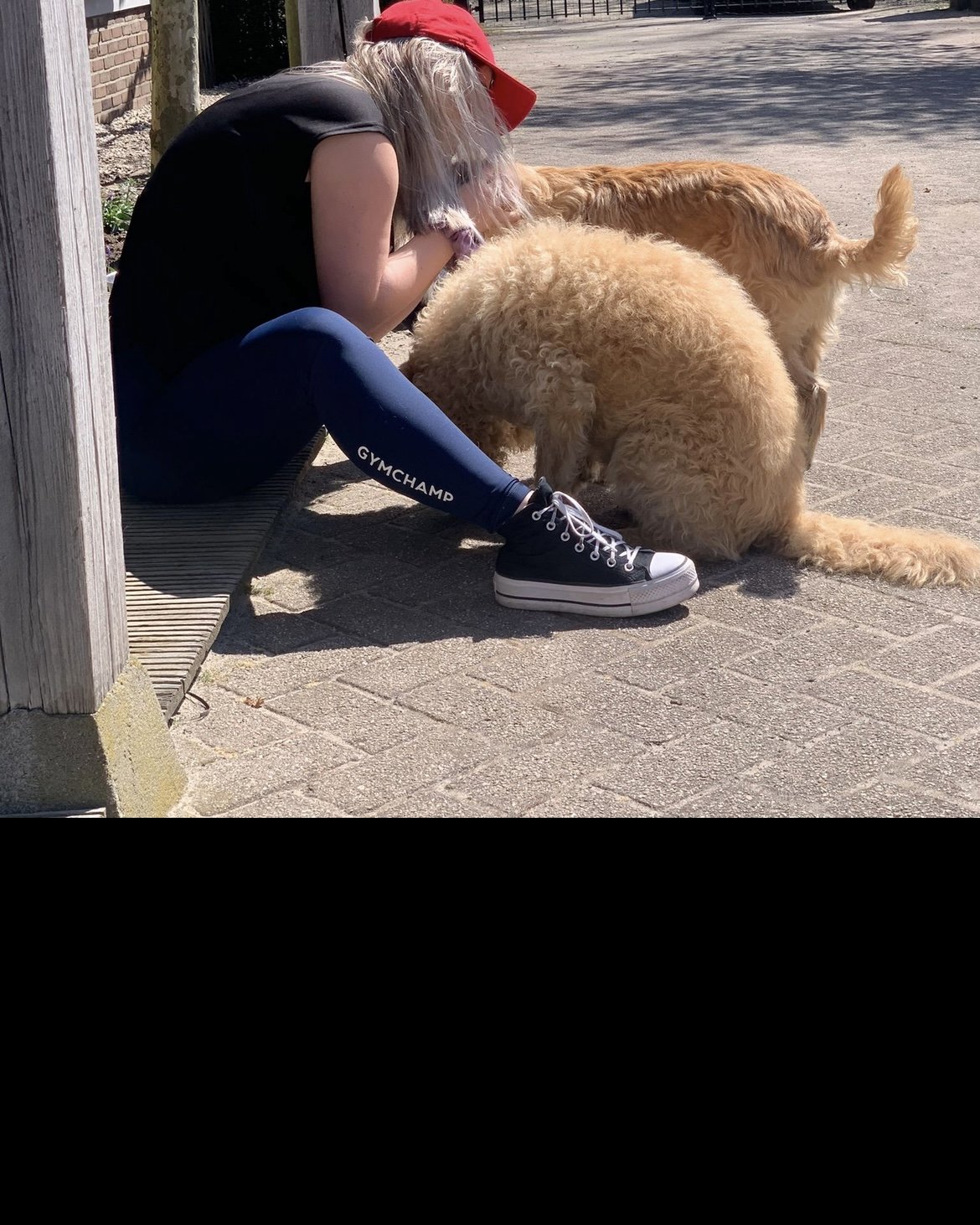 Romy, pet sitter in Arnhem, photo 2