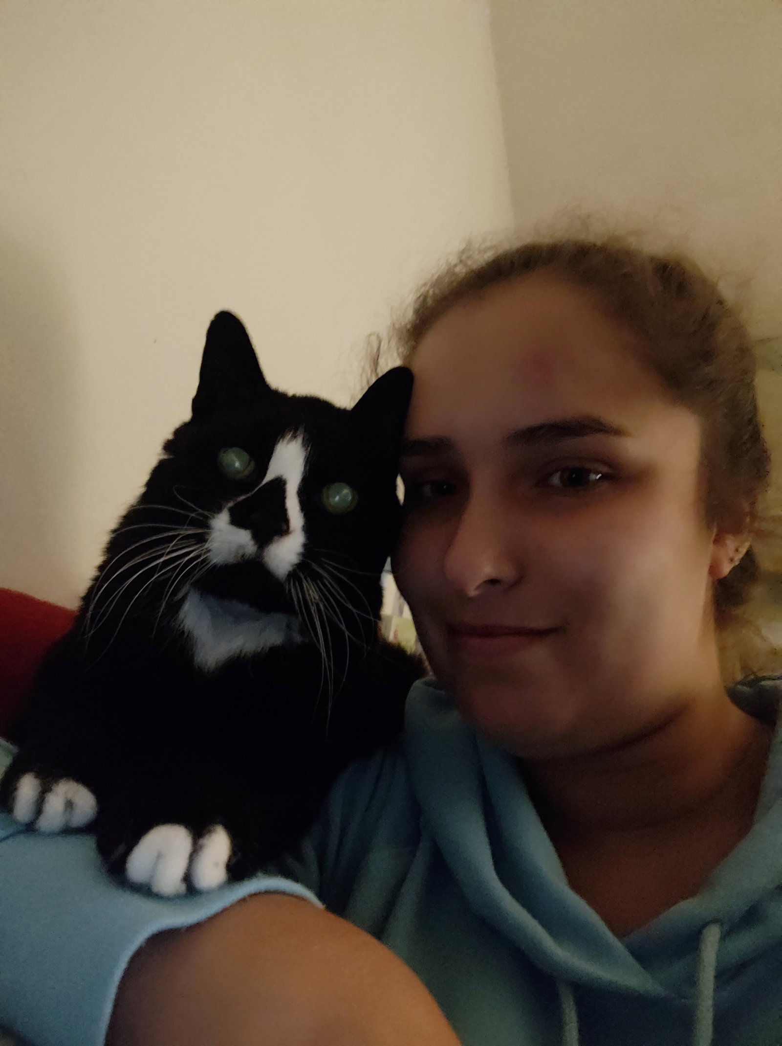 Indira, pet sitter in Eindhoven, photo 2