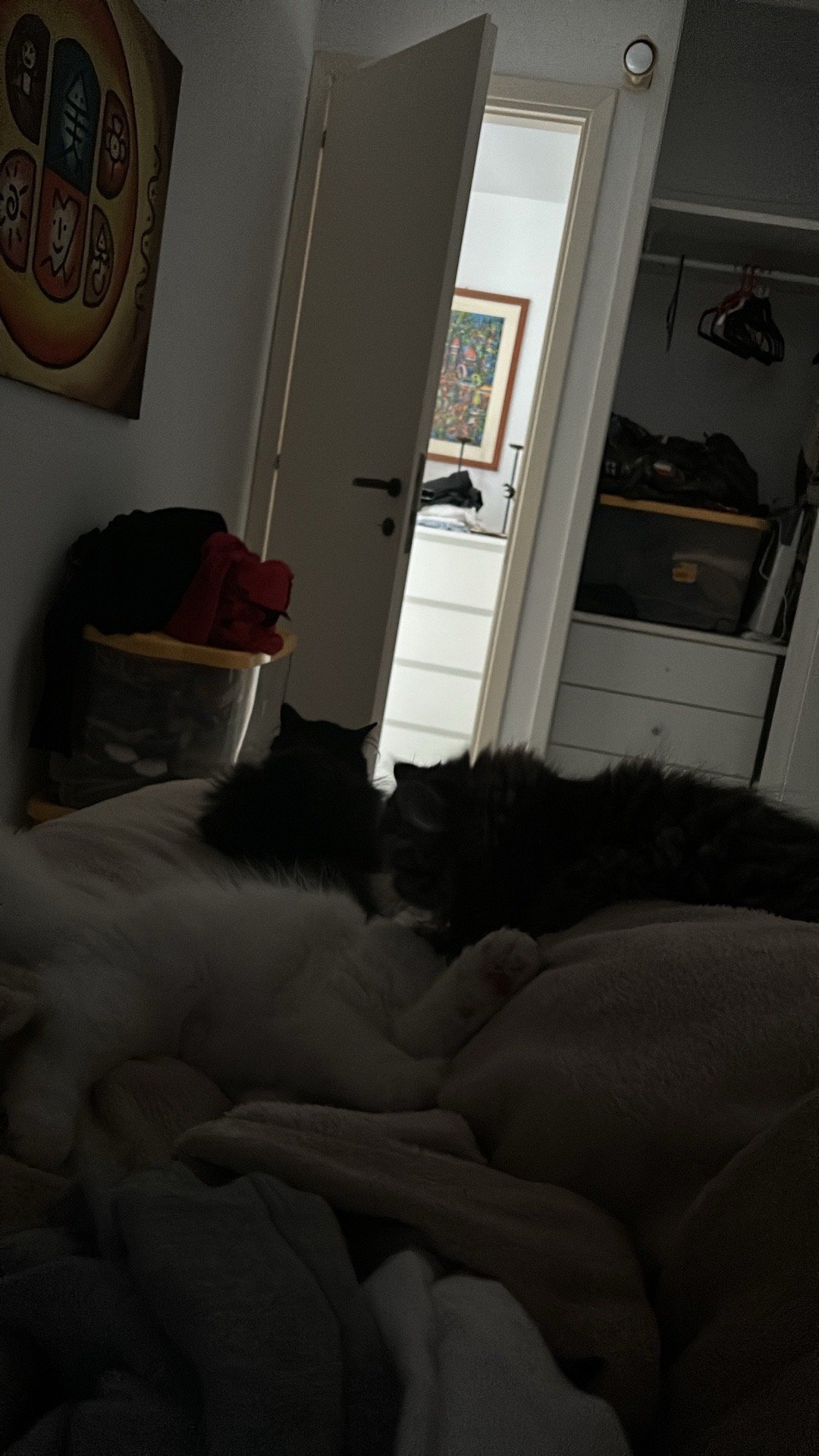 Marta, pet sitter in Uitgeest, photo 2