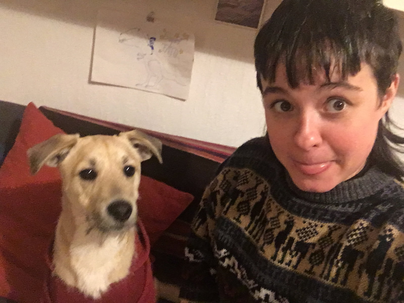 Dani, Tiersitter in Berlin, Foto 5