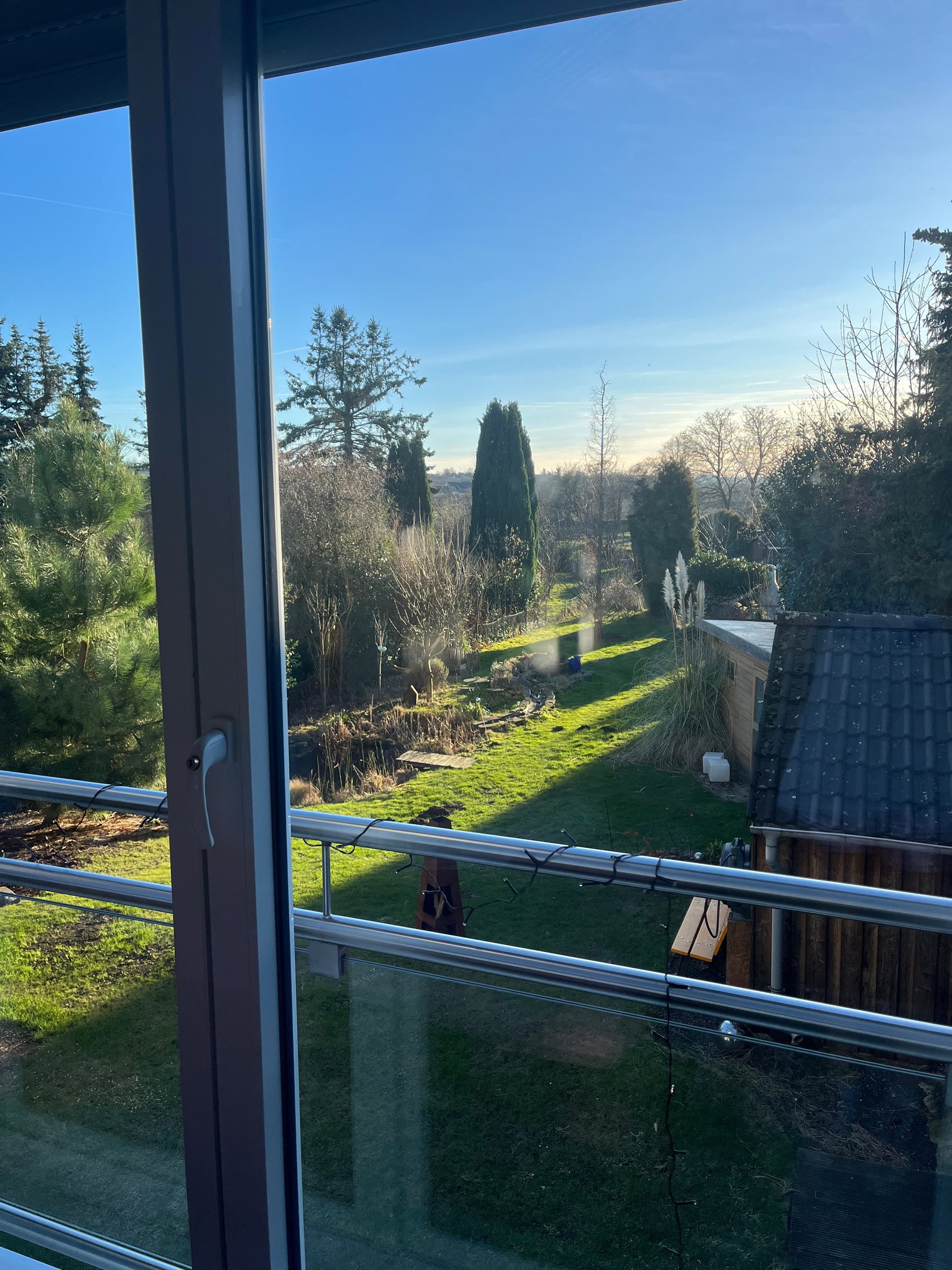 Maya, Tiersitter in Essen, Foto 3