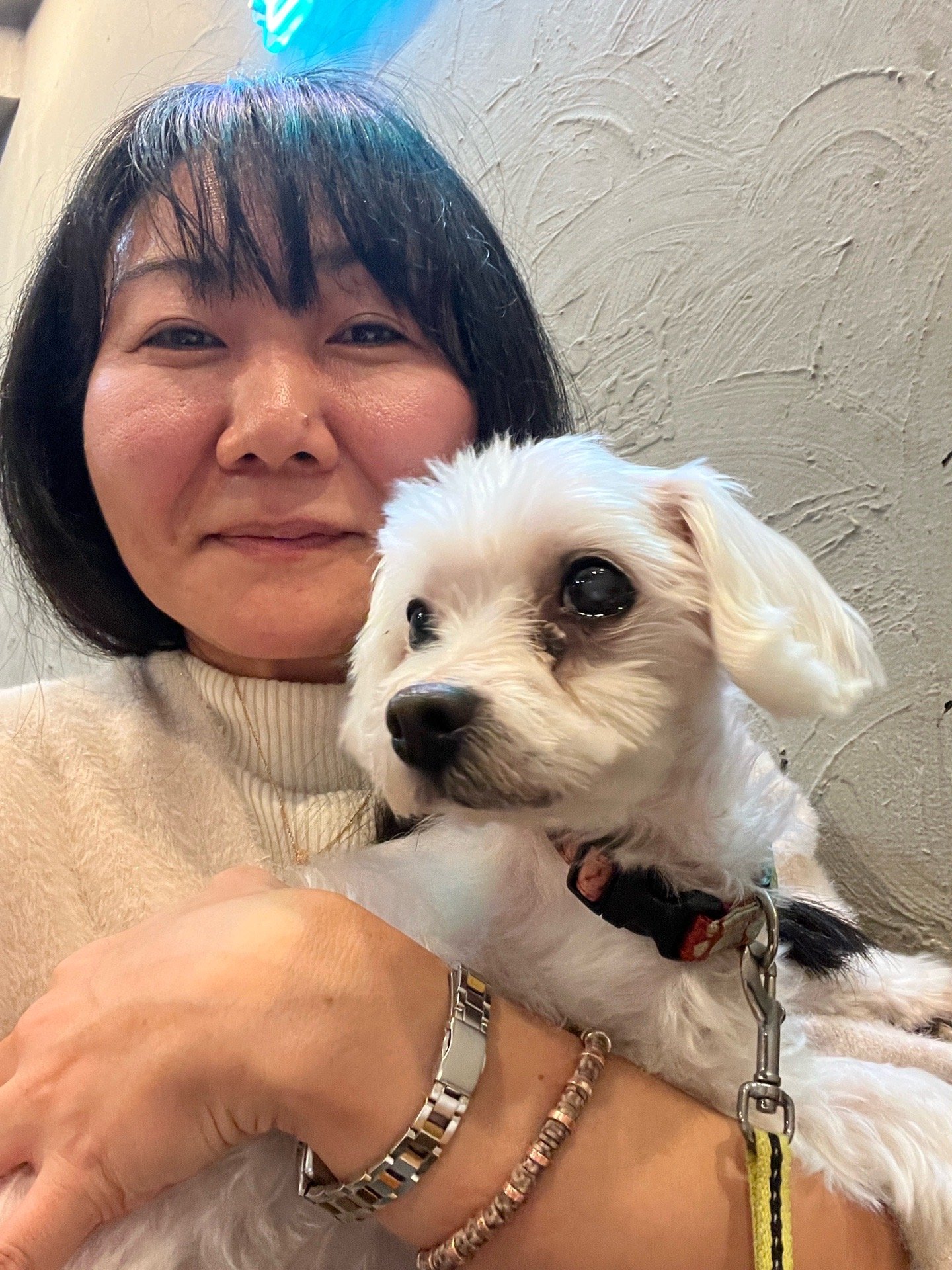 Tomomi, pet sitter in Den Haag, photo 2