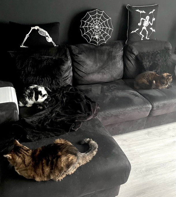 Michelle, pet sitter in Wijchen, photo 4